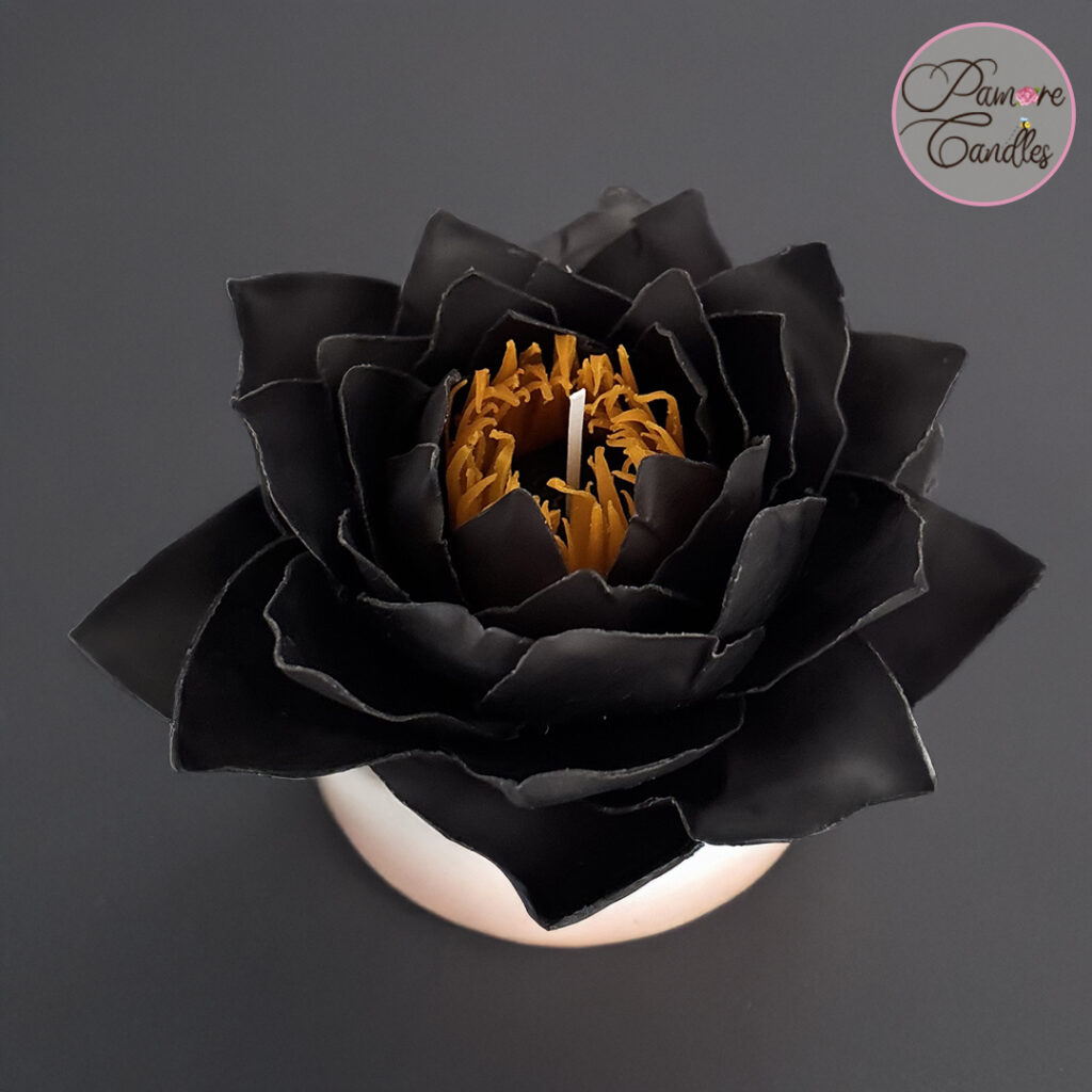Black_Lotus_02