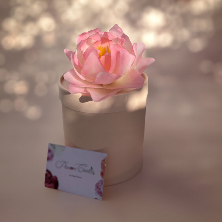 Pink-lotus-flower